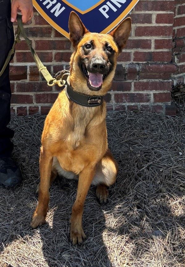 510983980_1136965251798999_7856748311403647966_n